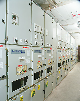 hvm1